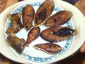 ماليندي ديشز