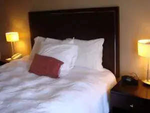 لوسونغ يوان بينغوان