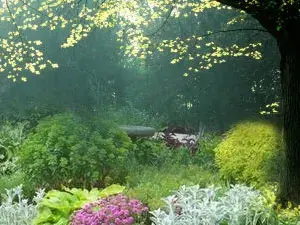 Spring Garden