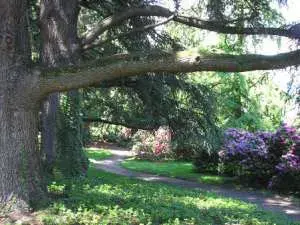 Eaux Vives Park Geneva