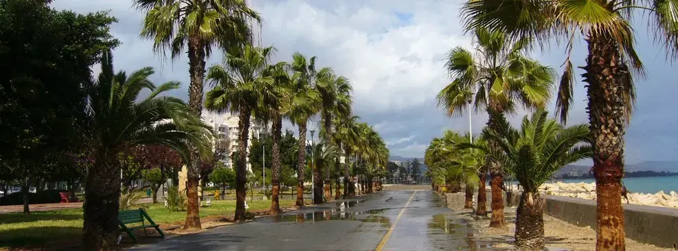 معلومات سريعة