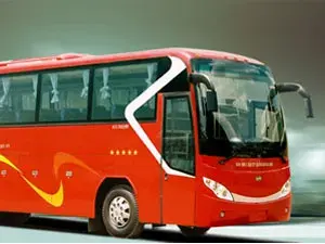 Buses