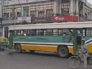 Bus