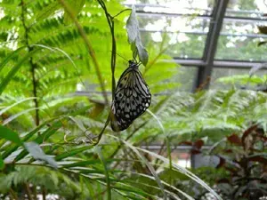 Zoo and Botanical Garden