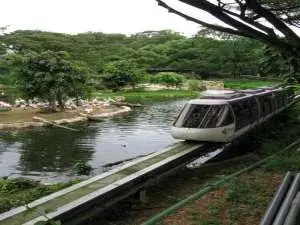 جولة في حديقة جورونغ للطيور