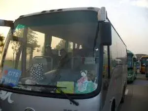 Buses