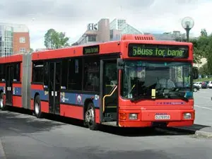 Buses