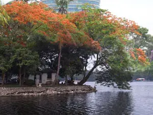 حديقة ثونغ نهات