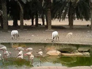 ماذا تفعل مع الأطفال في المدينة