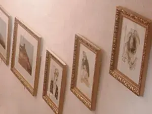 معرض الباب للفنون