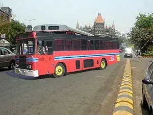 Buses
