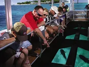 Boat Tours - sharam el sheikh