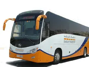 الحافلات