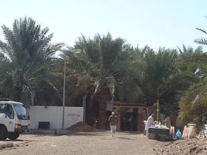 شركة تمور المدينة / سوق التمر