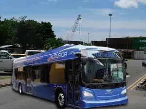 Buses