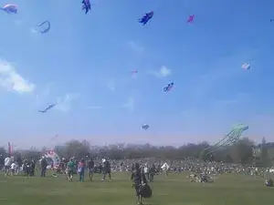 ذا برس كايت داي