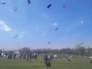 ذا برس كايت داي