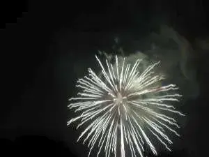 إحتفال شنغهاي العالمي التراثي بالشاي