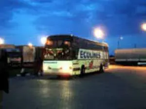 الحافلات