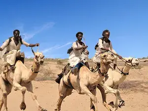 الجنادرية