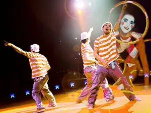 سيركس ني