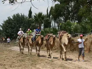 كامل بارك