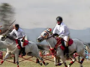 غوديه جاترا