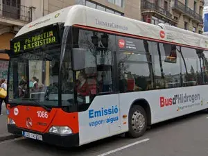 Buses