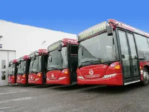Buses