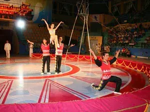 International Circus Festival