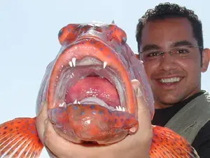 National fishing Competition - sharam el sheikh