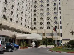 جولدن توليب المشتل