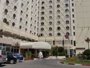 جولدن توليب المشتل