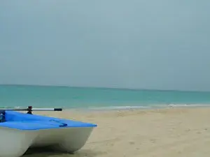 ماذا تفعل بصحبة الأطفال في المدينة