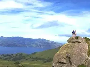 Christchurch sightseeing tours