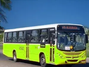 الحافلات
