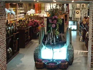 شاندان ماغو