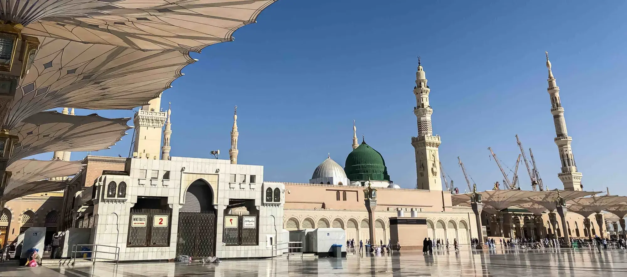 المدينة المنورة