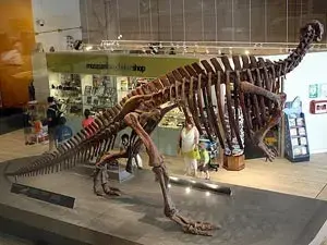 Queensland Museum