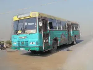 الحافلات