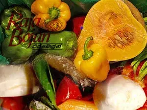 Raja Bojun