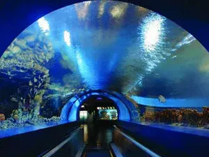 Beijing Aquarium Beijing