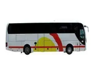 Bus Tours
