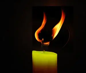 مهرجان جونو فبروا