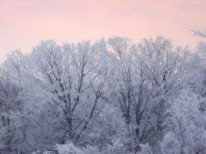 Annual Temperature