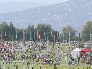 كأس النرويج