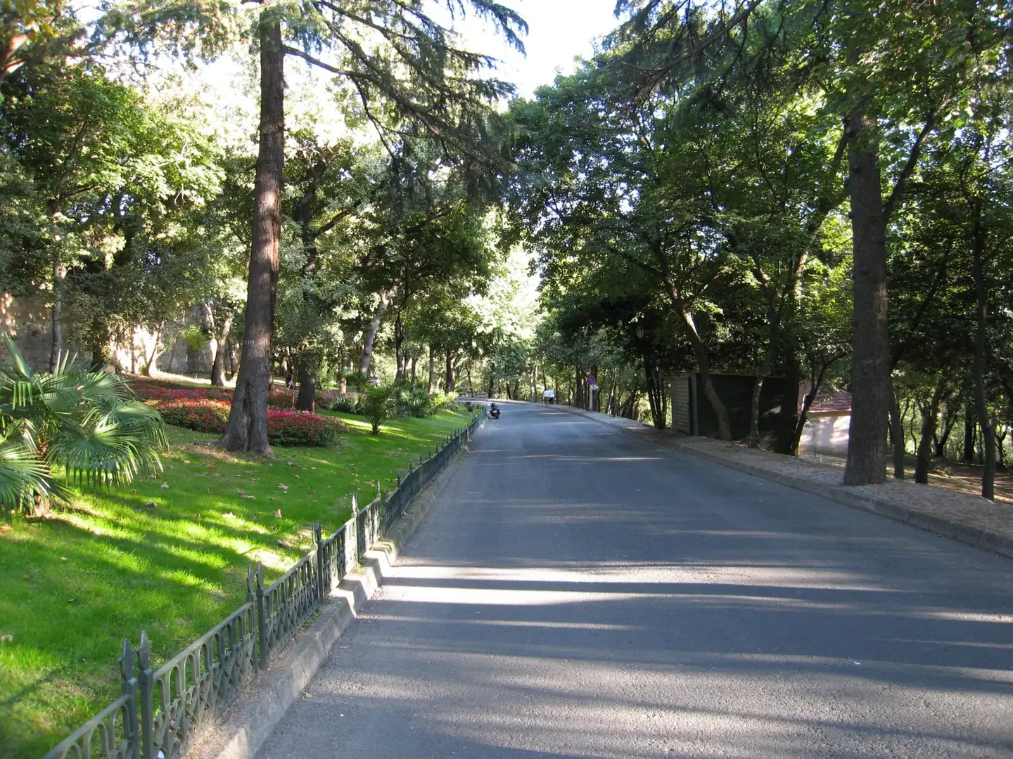 منتزه يلدز