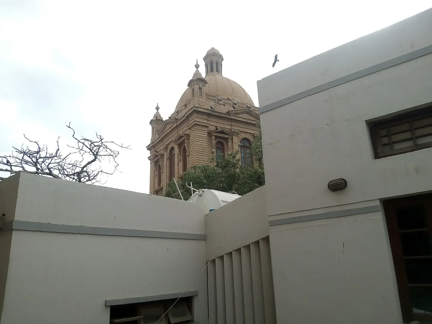 جامعة نيد