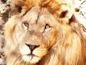 Karachi Zoo place in Karachi