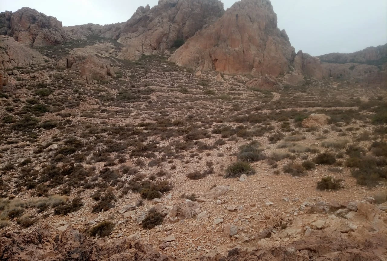 المغرب